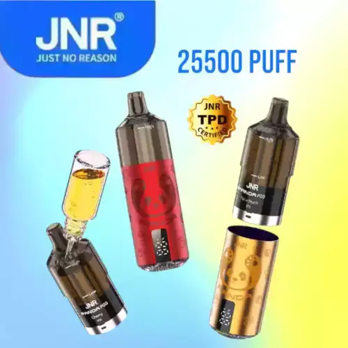 JNR Panda 25500 Züge – Smarte, langlebige Einweg-E-Zigarette