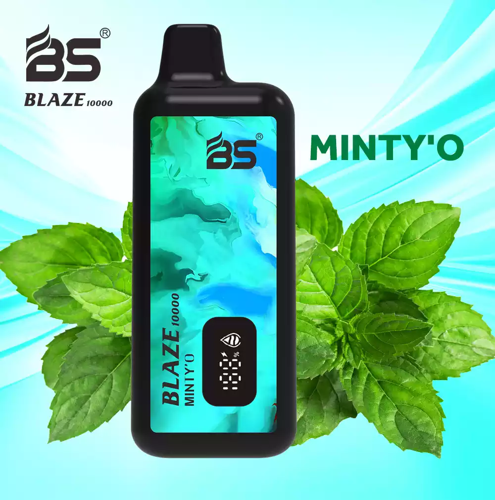 BREZE BS BLAZE 10000 Puffs Perfektes Dampfen