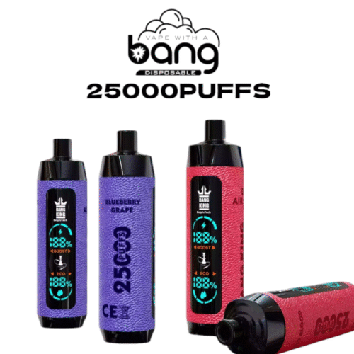 Bang King 25000 Puffs Stilvolles Lederetui Einweg-E-Zigarette