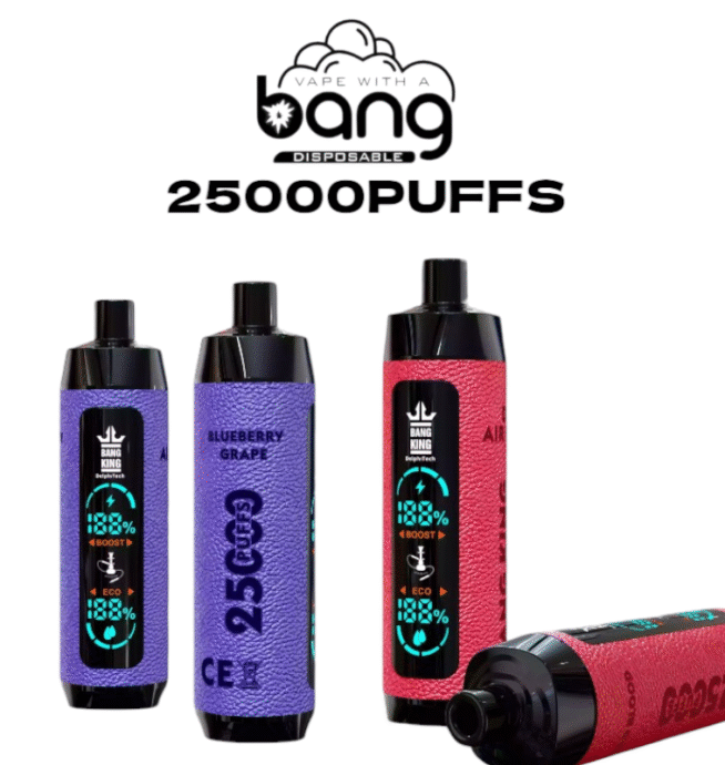 Bang King 25000 Puffs Stilvolles Lederetui Einweg-E-Zigarette