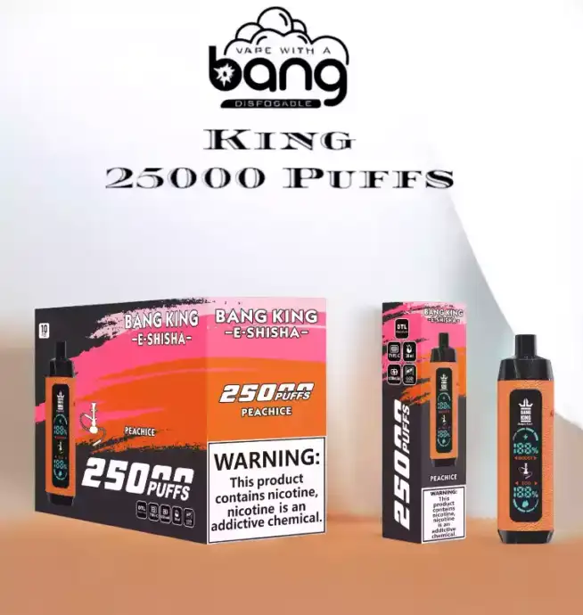 Bang King 25000 Puffs Stilvolles Lederetui Einweg-E-Zigarette