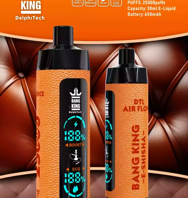 Bang King 25000 Puffs Stilvolles Lederetui Einweg-E-Zigarette