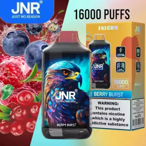 JNR Falcon 16000 Züge Boost-Modus Einweg-E-Zigarette