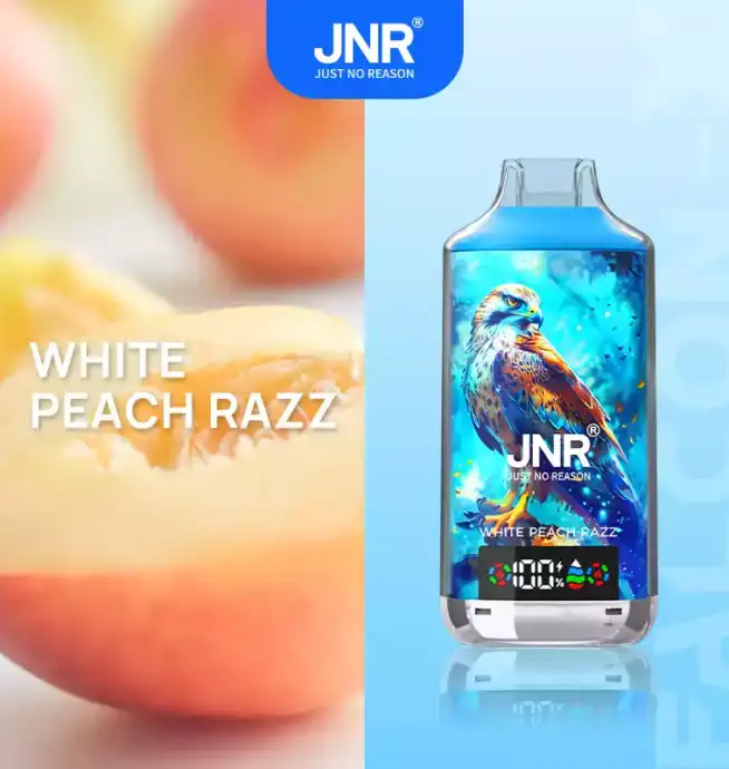 JNR Falcon-X 18000 Züge Der perfekte Einweg-Vape