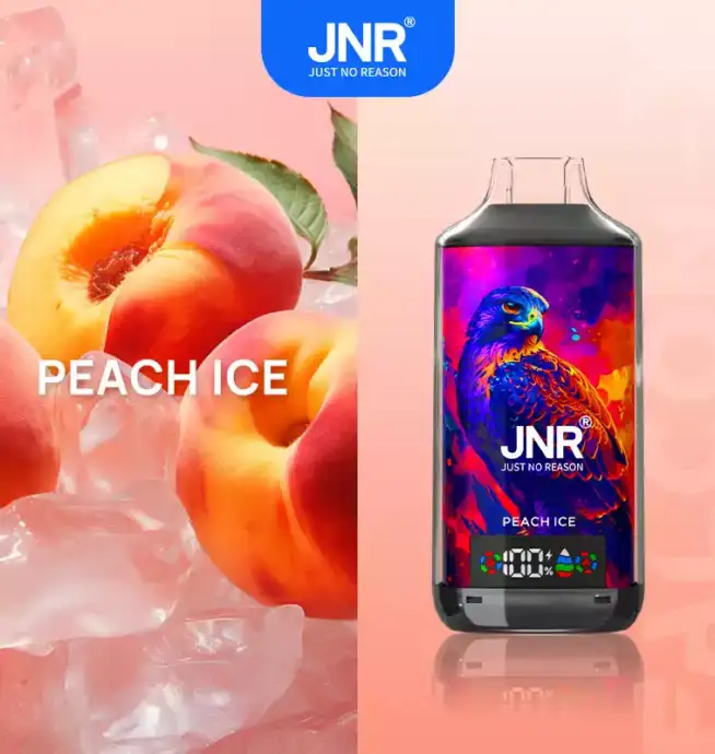 JNR Falcon-X 18000 Züge Der perfekte Einweg-Vape