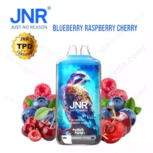JNR Falcon X Plus 28K Puff Leistungsstark Vape