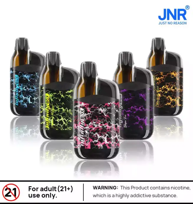 JNR INFINITY-BOX 10700 Züge Dual Mesh Coil Einweg-E-Zigarette