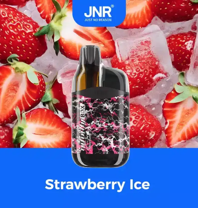 JNR INFINITY-BOX 10700 Züge Dual Mesh Coil Einweg-E-Zigarette