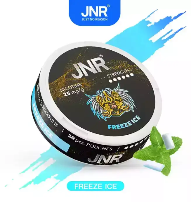 JNR Nicotine Pouches 25mg Nikotinbeutel für unterwegs