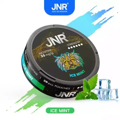 JNR Nicotine Pouches 25mg Nikotinbeutel für unterwegs