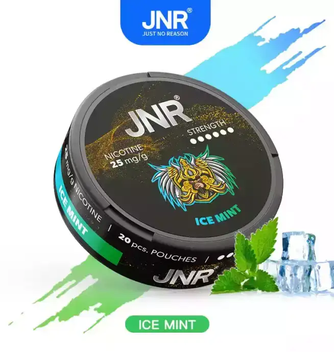 JNR Nicotine Pouches 25mg Nikotinbeutel für unterwegs