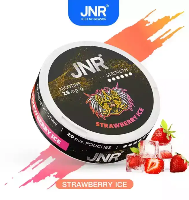 JNR Nicotine Pouches 25mg Nikotinbeutel für unterwegs