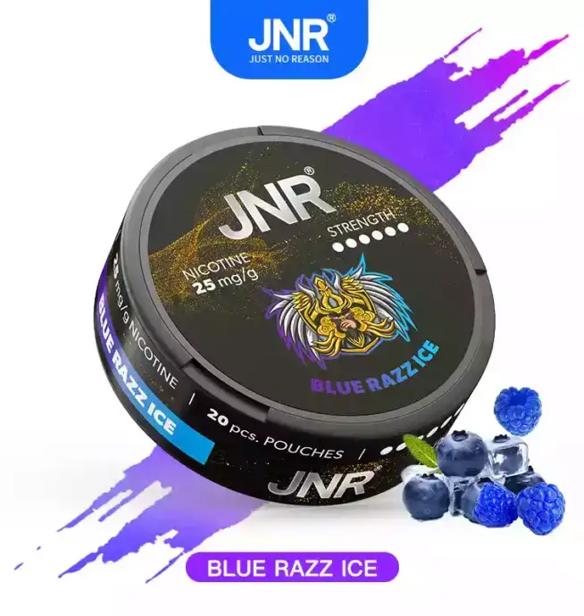 JNR Nicotine Pouches 25mg Nikotinbeutel für unterwegs