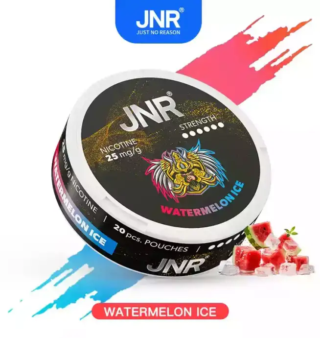 JNR Nicotine Pouches 25mg Nikotinbeutel für unterwegs