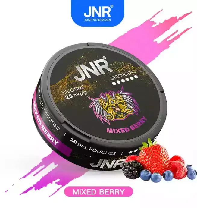 JNR Nicotine Pouches 25mg Nikotinbeutel für unterwegs