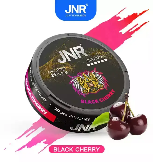 JNR Nicotine Pouches 25mg Nikotinbeutel für unterwegs