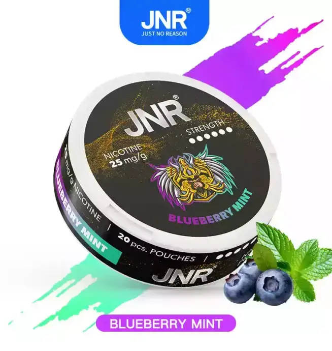 JNR Nicotine Pouches 25mg Nikotinbeutel für unterwegs