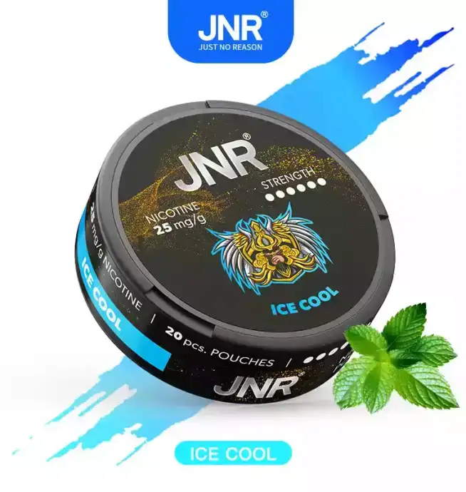 JNR Nicotine Pouches 25mg Nikotinbeutel für unterwegs