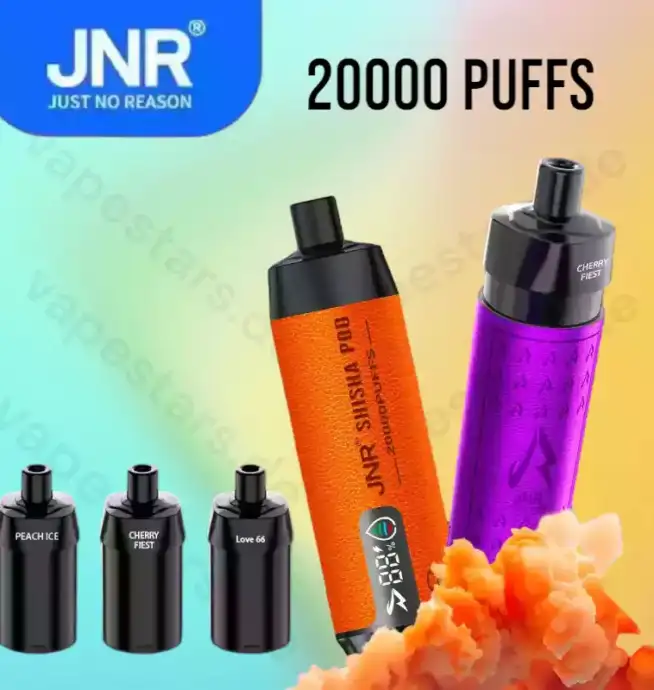 JNR Shisha Pod 20000 Züge Doppelte Mesh-Spule Einweg-Vape