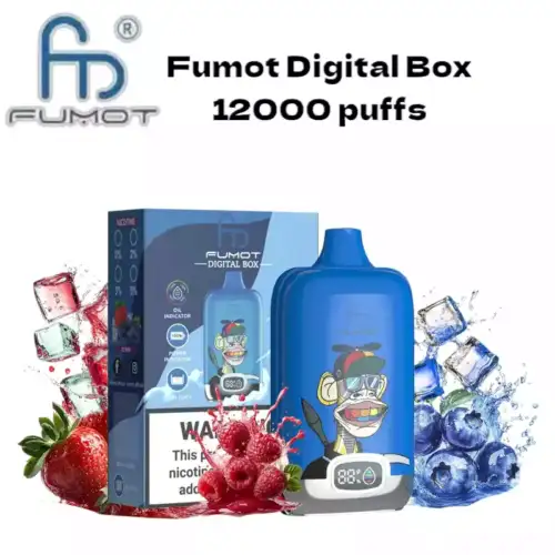 RandM Fumot Digital Box 12000 Puffs langanhaltenden Dampfgenuss