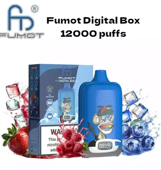 RandM Fumot Digital Box 12000 Puffs langanhaltenden Dampfgenuss