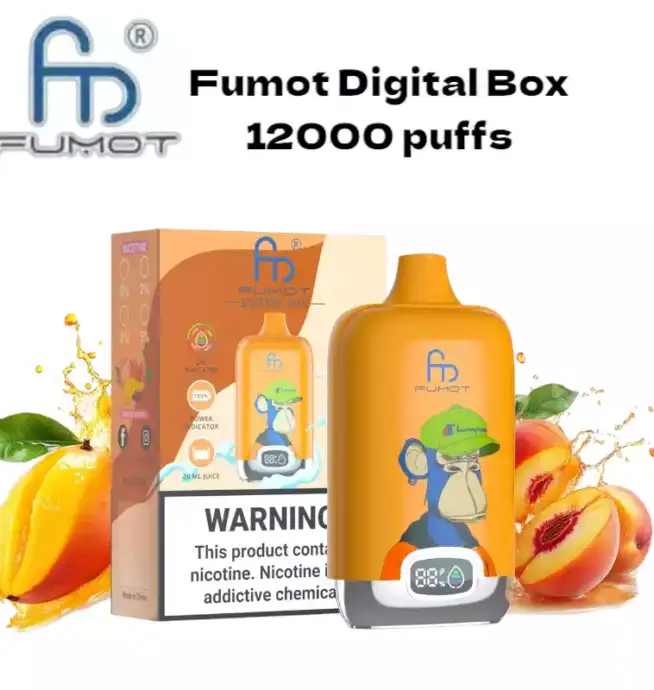 RandM Fumot Digital Box 12000 Puffs langanhaltenden Dampfgenuss