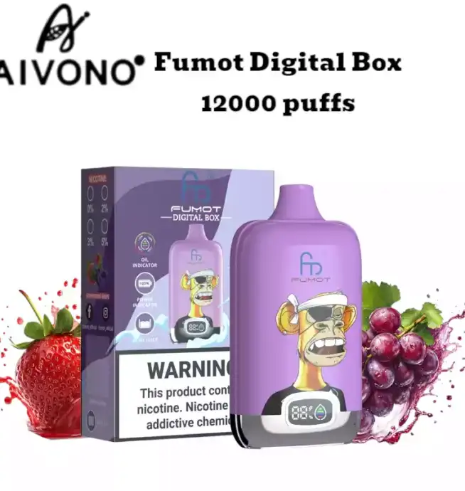 RandM Fumot Digital Box 12000 Puffs langanhaltenden Dampfgenuss