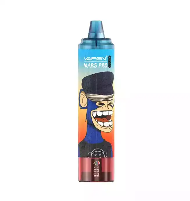 VAPEN MRS PRO15000 PUFFS & 12 intensive Sorten
