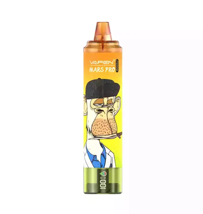 VAPEN MRS PRO15000 PUFFS & 12 intensive Sorten