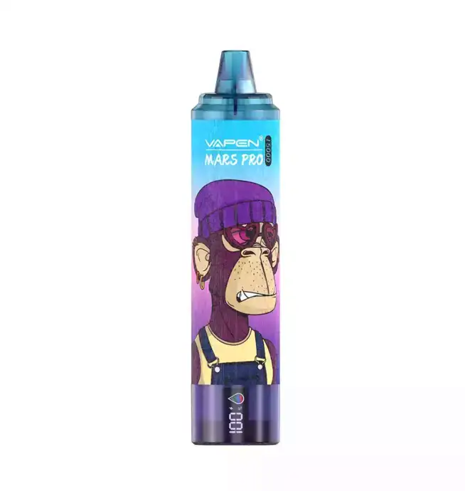 VAPEN MRS PRO15000 PUFFS & 12 intensive Sorten
