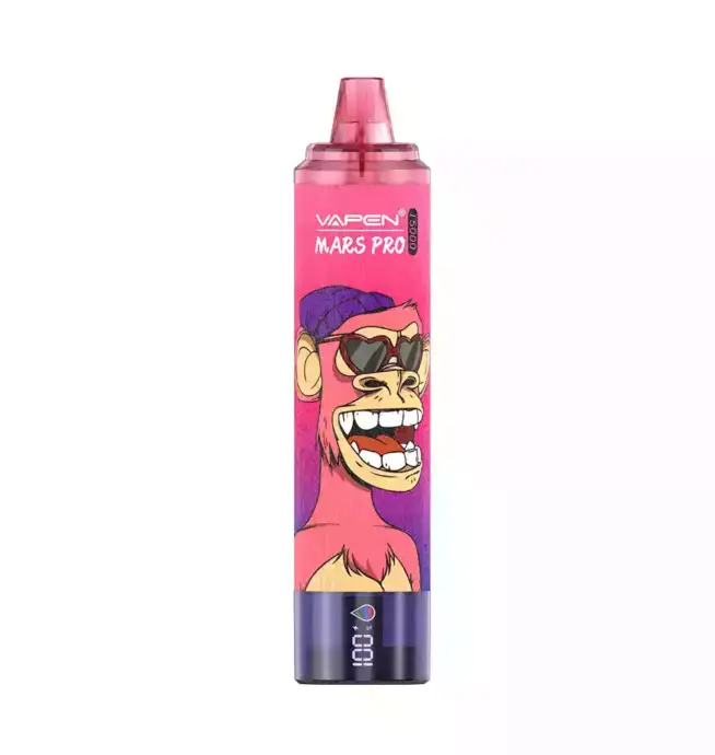 VAPEN MRS PRO15000 PUFFS & 12 intensive Sorten