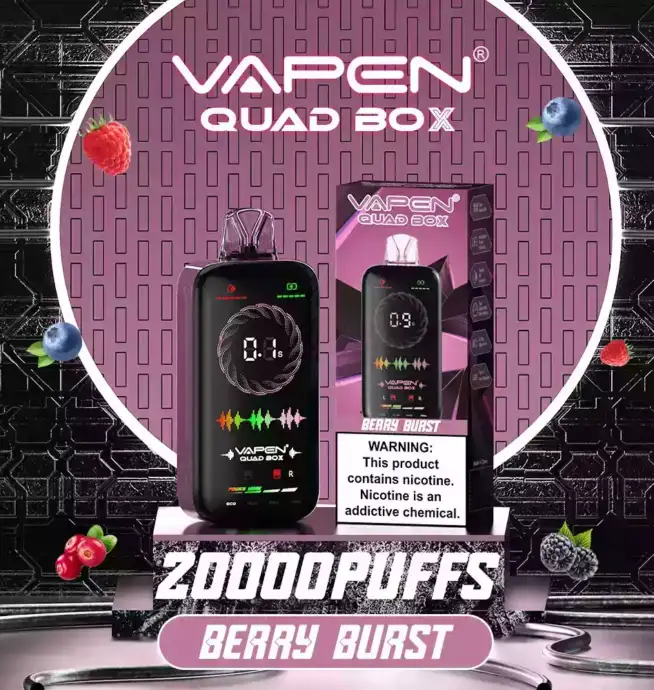 VAPEN QUAD BOX 20000 PUFFS – Intelligente Einweg-Vape