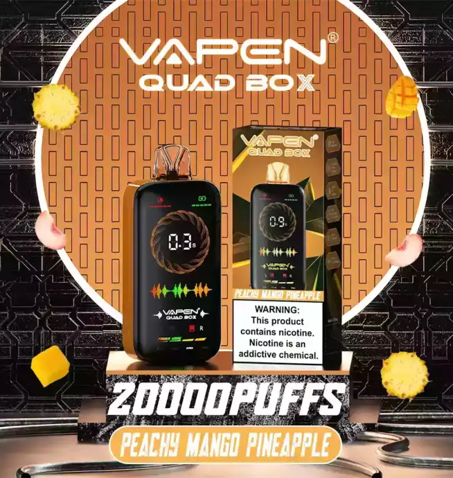 VAPEN QUAD BOX 20000 PUFFS – Intelligente Einweg-Vape