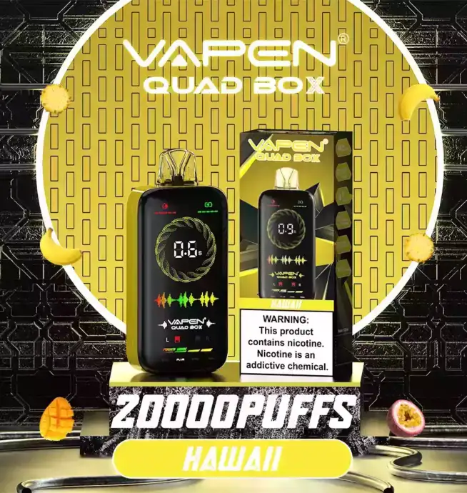 VAPEN QUAD BOX 20000 PUFFS – Intelligente Einweg-Vape