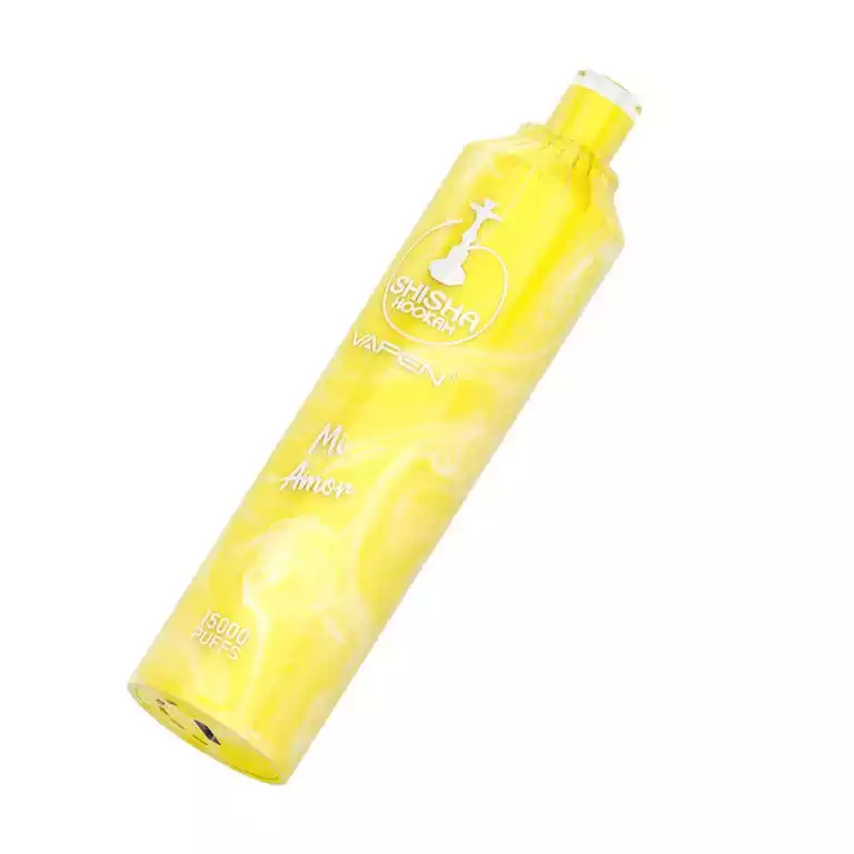 VAPEN SHISHA HOOKAH 15000 PUFFS Shisha-Gefühl in Vape