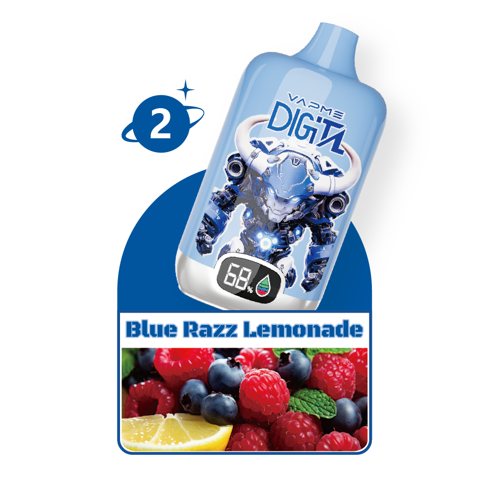 VAPME Digital 12000 Puffs – Lang anhaltendes Dampfen