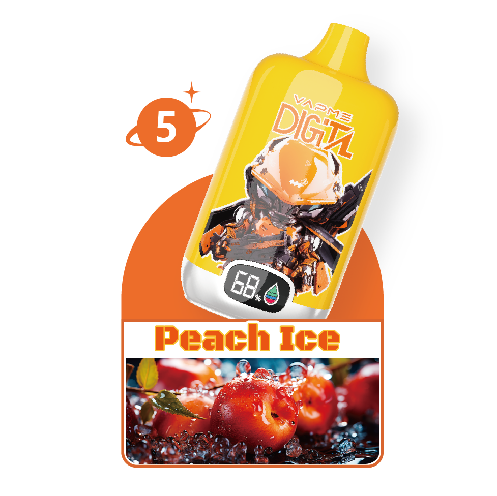 VAPME Digital 12000 Puffs – Lang anhaltendes Dampfen