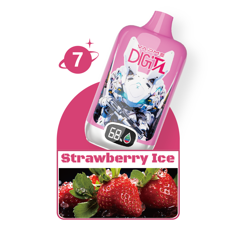 VAPME Digital 12000 Puffs – Lang anhaltendes Dampfen