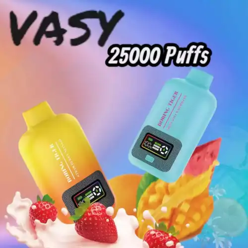 VASY Boring Tiger 25000 Puffs Sorten & starke Leistung