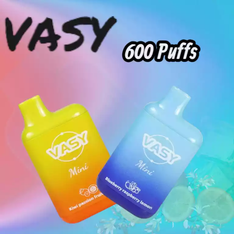 VASY Mini 600 Puffs Einweg-Vape