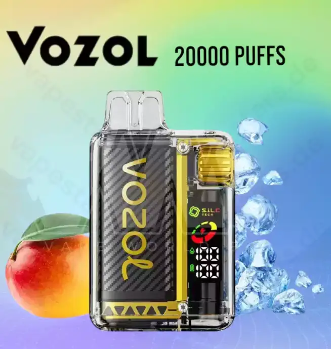 Vozol Vista 20000 Puffs 20k LCD-Display Einweg-Vape