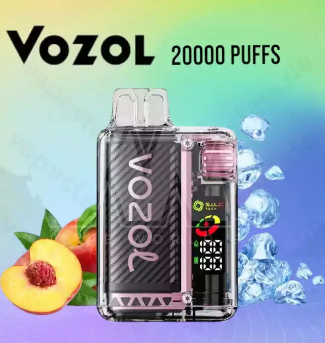 Vozol Vista 20000 Puffs 20k LCD-Display Einweg-Vape