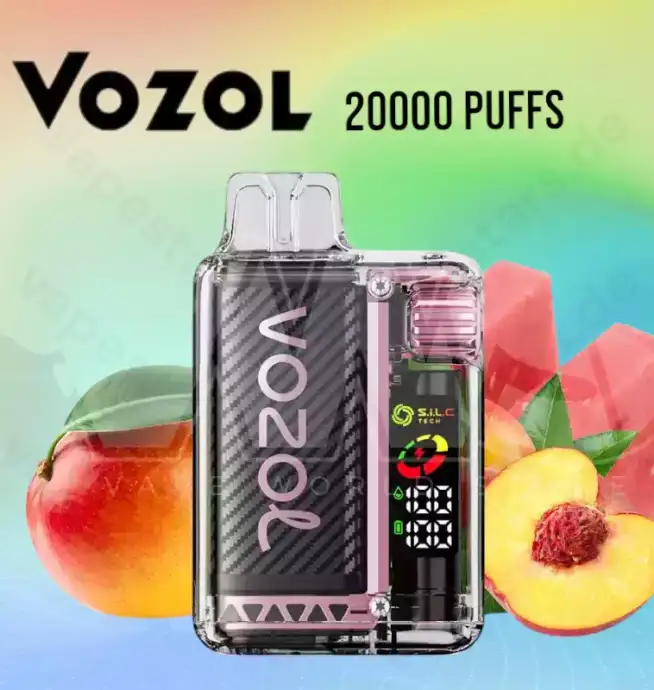 Vozol Vista 20000 Puffs 20k LCD-Display Einweg-Vape
