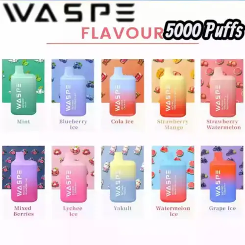 WASPE 5000 Puffs – Kompakte Einweg-Vape
