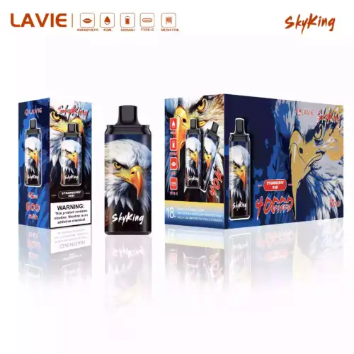LAVIE SKYKING 40000 – Power trifft Geschmack